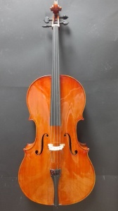 Cello Mara by Rafael Melenchon
